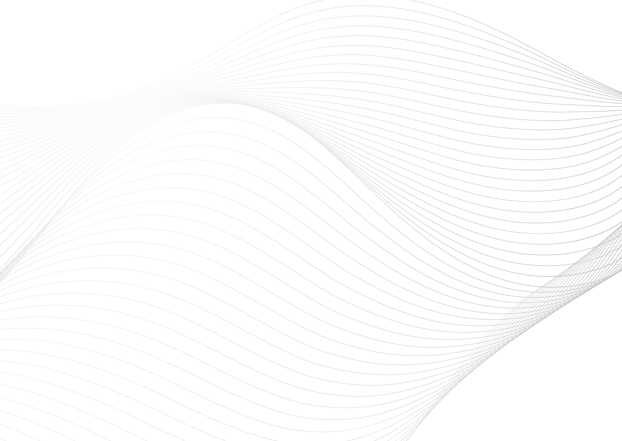 Web Site Tasarımcısı, Bafra